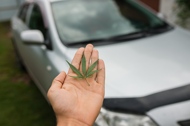 Driver holding a marijuana leaf above their car