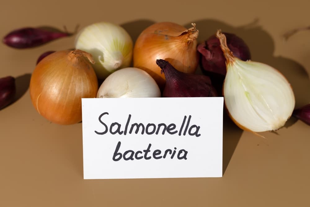 Salmonella Food Poisoning Cases