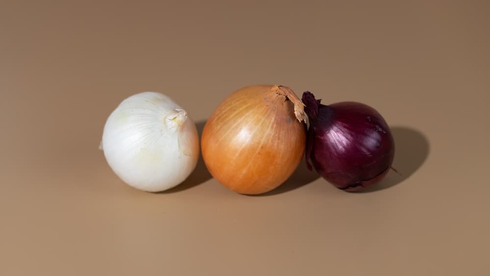 Salmonella Outbreak Linked to Diced Onions in Wisconsin
