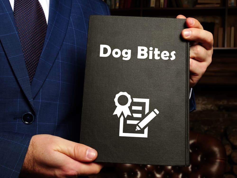 Wisconsin Dog Bite Lawyers