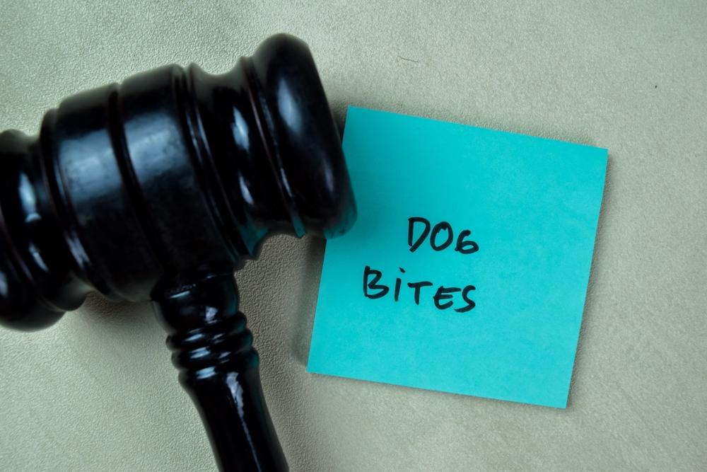 Dog Bite Lawsuit